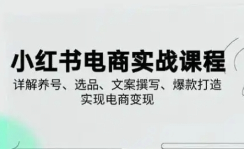 小红书从0-1实操课(2023-2025),详解养号、选品、文案撰写、爆款打造实现电商变现-九一好资源