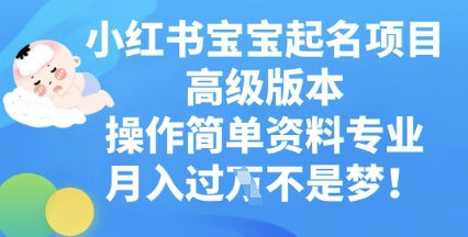 小红书宝宝起名项目高级版本,操作简单,资料专业,月入过W-九一好资源