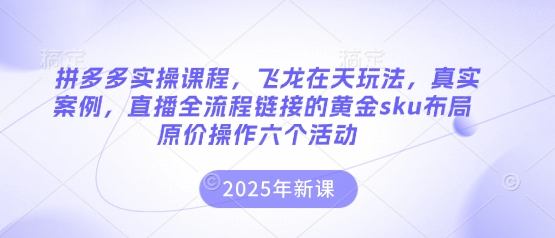 拼多多实操课程,飞龙在天玩法,真实案例,直播全流程链接的黄金sku布局原价操作六个活动-九一好资源