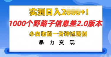 2025抖音1000个野路子信息差最新玩法,一分钟过原创,暴力变现月入几k-九一好资源