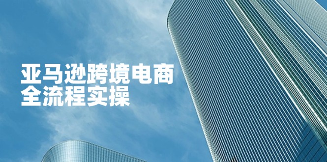 (14252期)亚马逊跨境电商全流程实操,教你从零开始,掌握店铺运营与广告技巧-九一好资源