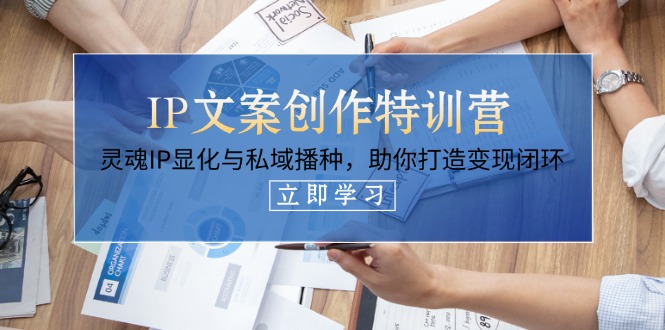 (14330期)IP文案创作特训营,灵魂IP显化与私域播种,助你打造变现闭环(14节课)-九一好资源
