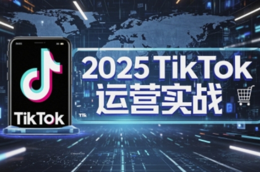 2025TikTok电商运营,掌握TikTok店铺运营核心技巧,实现低成本高转化-九一好资源