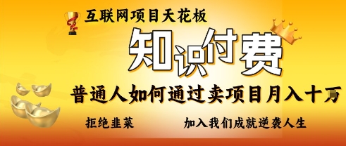互联网项目天花板,知付付费项目,普通人如何通过卖项目月入十个,拒绝韭菜【揭秘】-九一好资源