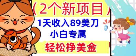 2个新项目,轻松挣美金, 1天收入89美刀,小白专属,干货分享-九一好资源