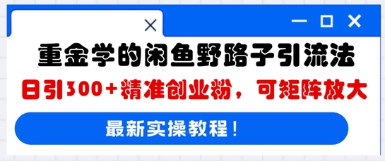 重金学的闲鱼野路子引流法,日引300+精准创业粉,可矩阵放大-九一好资源