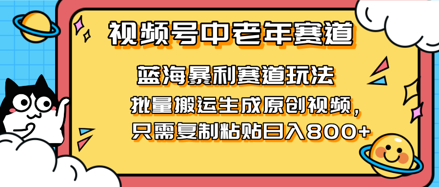 (14314期)2025视频号中老年短视频蓝海暴利风口!复制粘贴搬运视频单日赚800+,无...-九一好资源