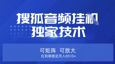 【搜狐音频挂G】独家技术,可矩阵可放大,红利期稳定月入8k【揭秘】-九一好资源