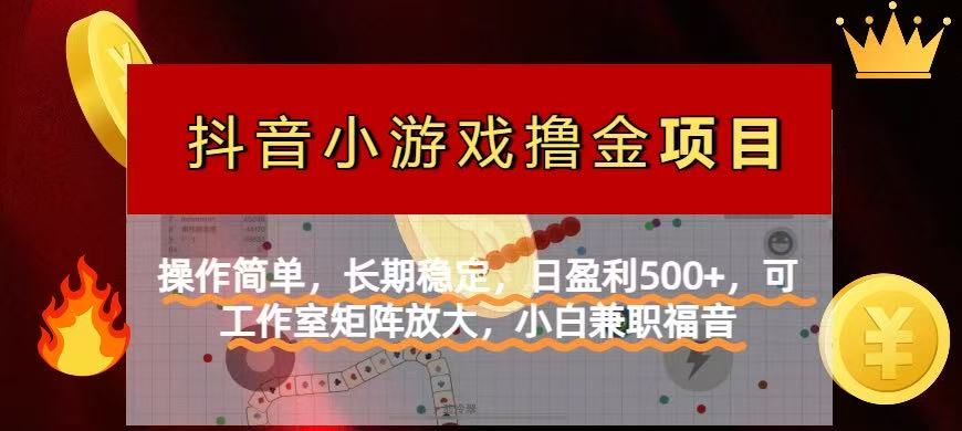 (14290期)【抖音小游戏发行人计划项目】操作简单,长期稳定,日盈利500+,可工作...-九一好资源