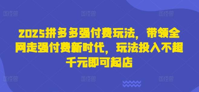 2025拼多多强付费玩法,带领全网走强付费新时代,玩法投入不超千元即可起店-九一好资源