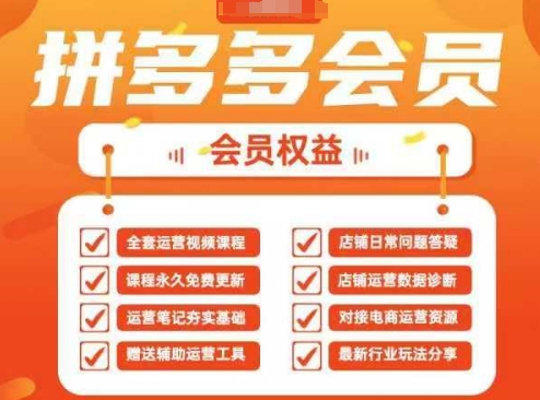 2025拼多多运营实战课,40节全流程教学,覆盖拼多多运营全链路-九一好资源