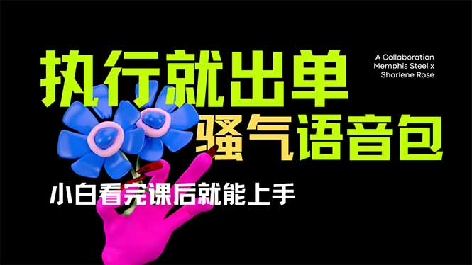 (14170期)爆火全网的开车导航骚气语音包,只要执行就出单,小白看完课程就能实操...-九一好资源