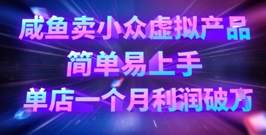 咸鱼卖小众虚拟产品,简单易上手,单店一个月利润破W-九一好资源