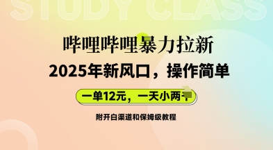哔哩哔哩暴力拉新:2025年新风口,一单12元,一天数张(附开白渠道和保姆级教程)-九一好资源