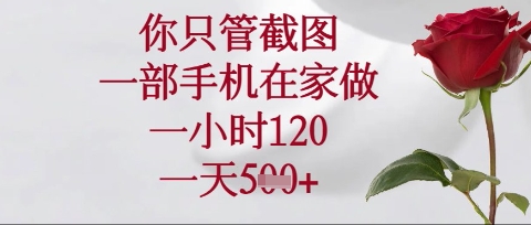 你只管截图,一部手机在家操作,一小时120.一天5张【揭秘】-九一好资源