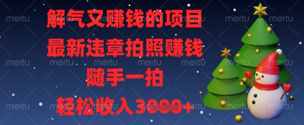 解气又挣钱的项目,最新违章拍照挣钱,随手一拍,轻松收入数张【揭秘】-九一好资源